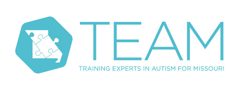 TC-TEAM-Logo